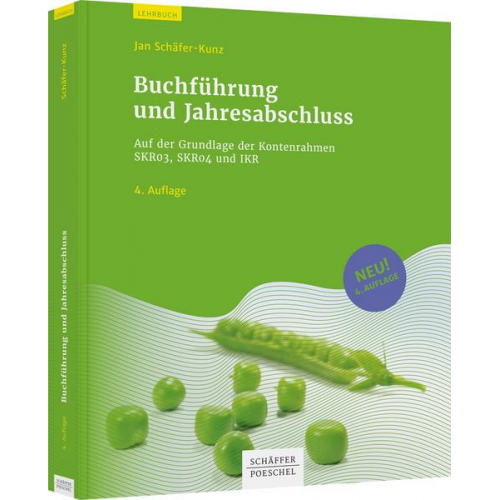 Jan Schäfer-Kunz - Buchführung und Jahresabschluss