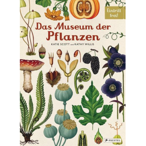 Katie Scott Kathy Willis - Das Museum der Pflanzen