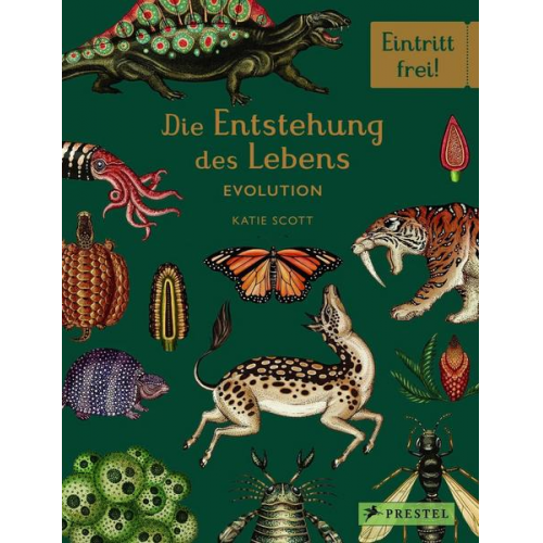 Fiona Munro Ruth Symons - Die Entstehung des Lebens. Evolution
