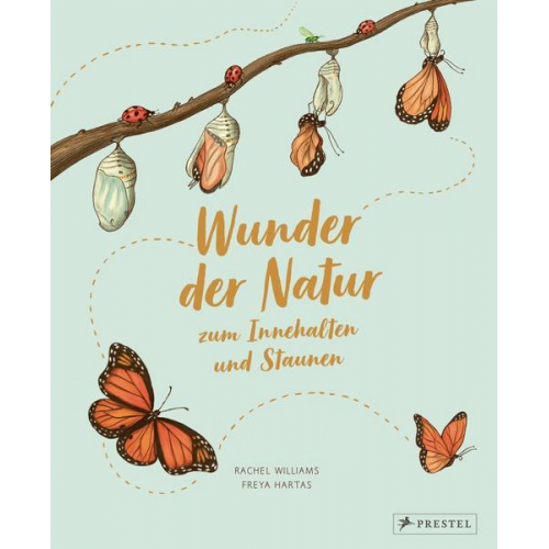 Rachel Williams Freya Hartas - Wunder der Natur zum Innehalten und Staunen