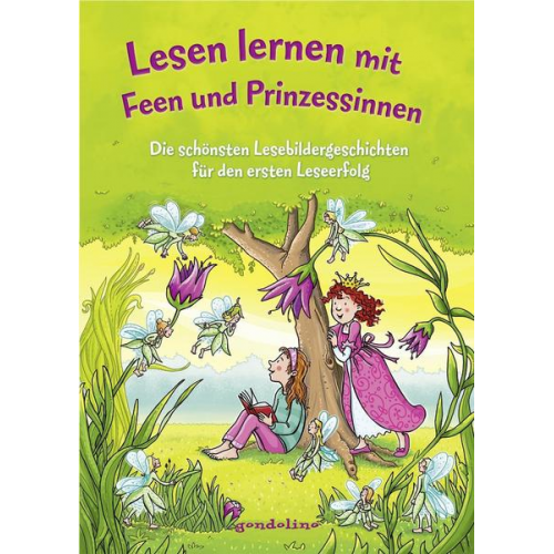 Bato Werner Färber Christine Raudies Katja Reider - Lesen lernen mit Feen und Prinzessinnen