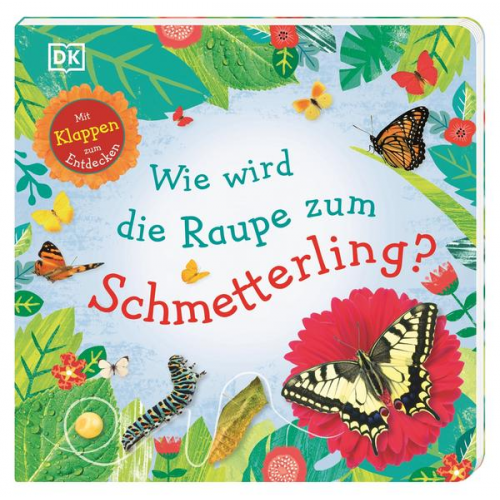 44808 - Wie wird die Raupe zum Schmetterling?