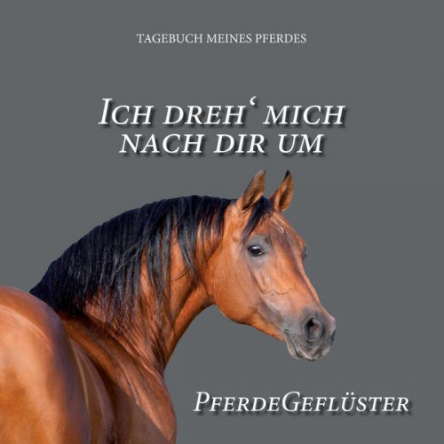 Pit Elsasser - Ich dreh' mich nach dir um