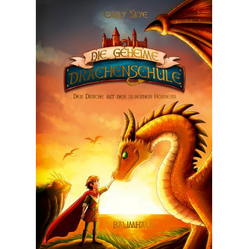 Emily Skye - Die geheime Drachenschule - Der Drache mit den silbernen Hörnern