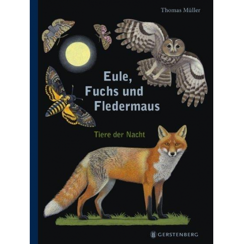 Thomas Müller - Eule, Fuchs und Fledermaus