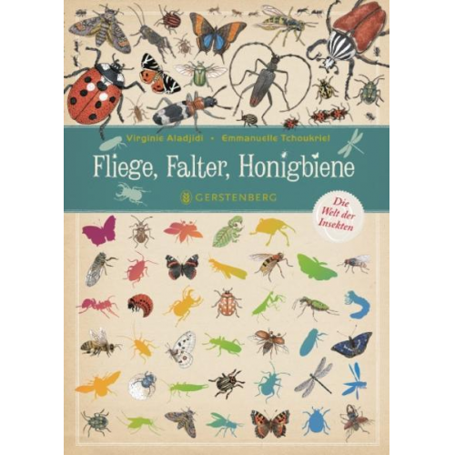 Virginie Aladjidi - Fliege, Falter, Honigbiene