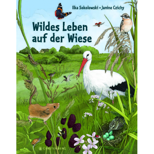 Ilka Sokolowski - Wildes Leben auf der Wiese