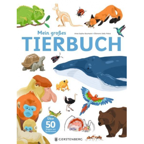 Anne-Sophie Baumann - Mein großes Tierbuch