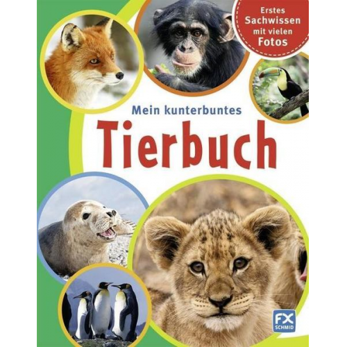 Mein kunterbuntes Tierbuch