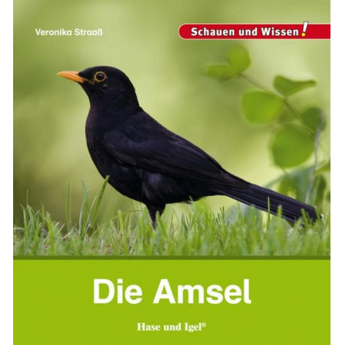 Veronika Straass - Die Amsel