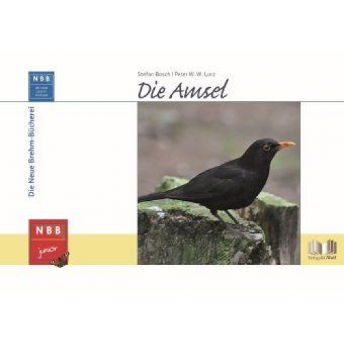 Stefan Bosch Peter W. W. Lurz - Die Amsel