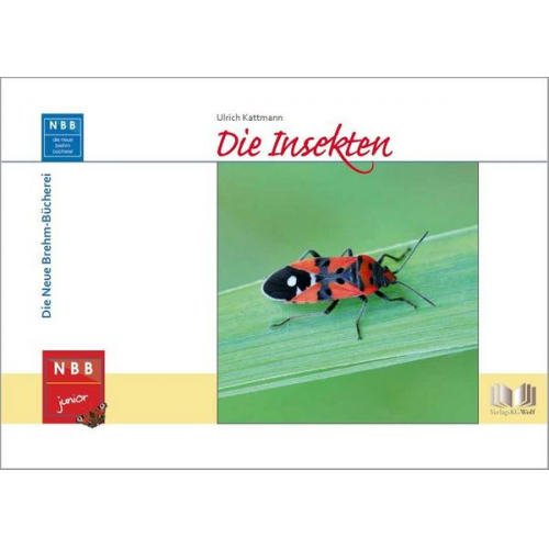 Ulrich Kattmann - Die Insekten