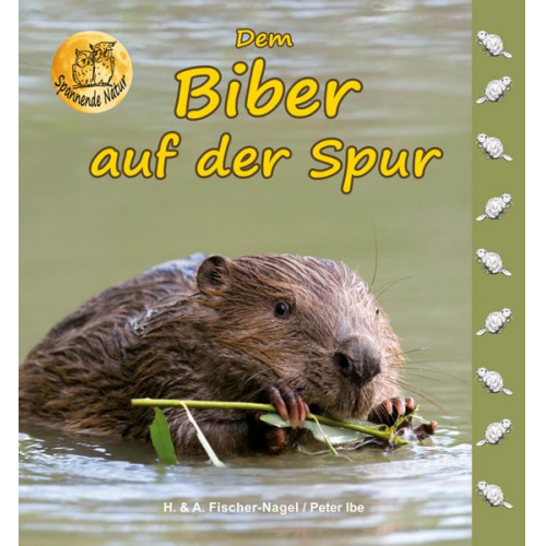 Heiderose Fischer-Nagel Andreas Fischer-Nagel Peter Ibe - Dem Biber auf der Spur