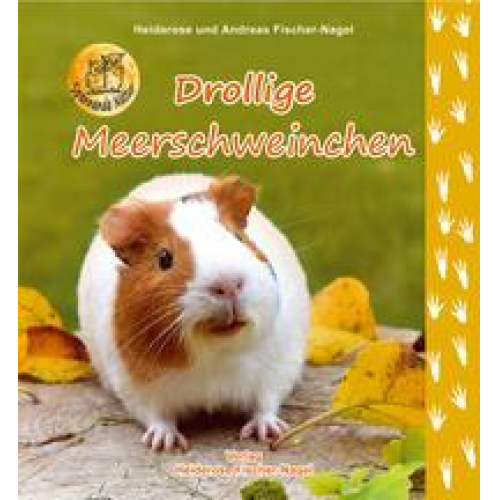 Heiderose Fischer-Nagel Andreas Fischer-Nagel - Drollige Meerschweinchen