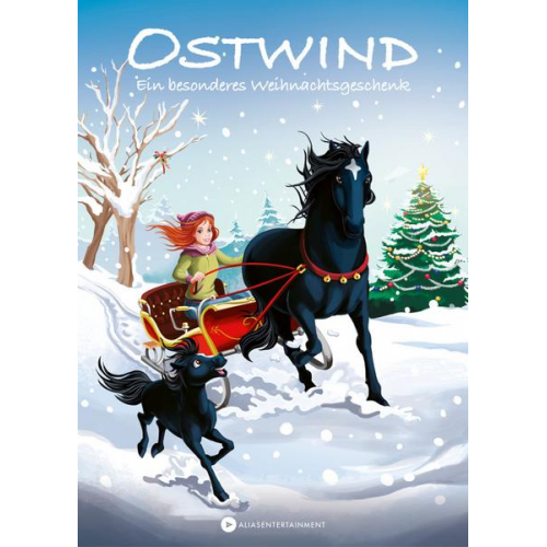 Thilo - Ostwind – Ein besonderes Weihnachtsgeschenk