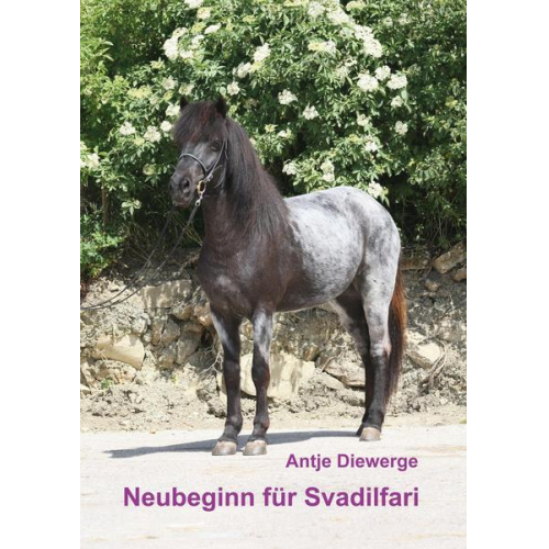 Antje Diewerge - Neubeginn für Svadilfari