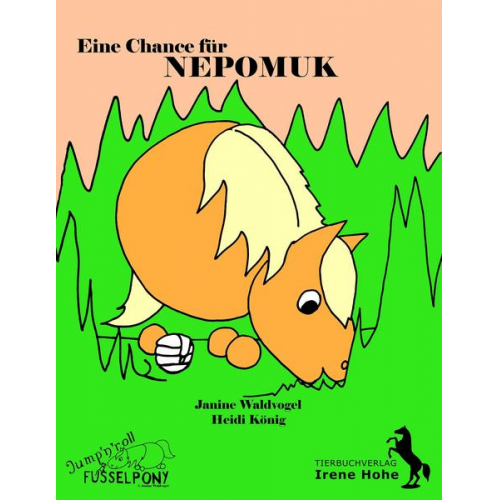 Janine Waldvogel Heidi König - Eine Chance für Nepomuk