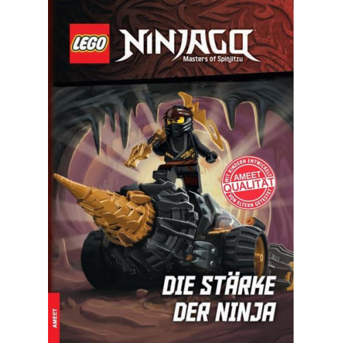LEGO® NINJAGO® – Die Stärke der Ninja