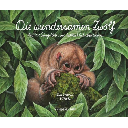 Rae Mariz Reisedepeschen - Die wundersamen Zwölf – Kuriose Säugetiere, die tatsächlich existieren