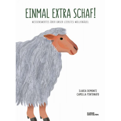 Ilaria Demonti - Einmal extra Schaf!