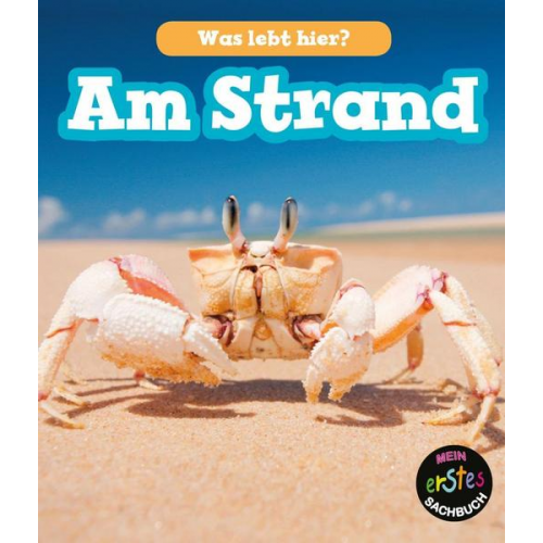John-Paul Wilkins - Am Strand