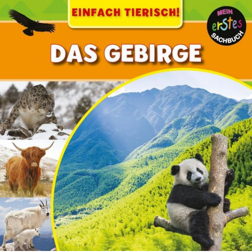 Mary-Jane Wilkins - Das Gebirge