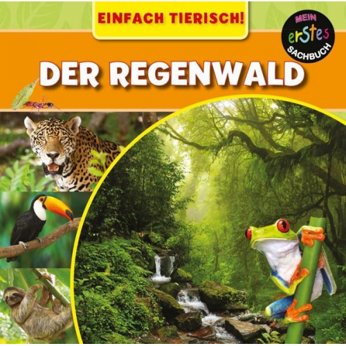 Mary-Jane Wilkins - Der Regenwald