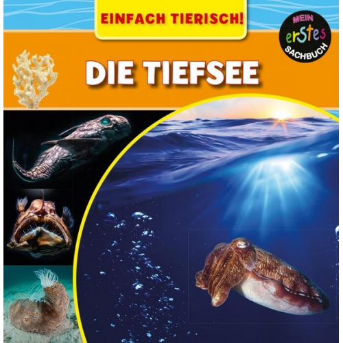 Mary-Jane Wilkins - Die Tiefsee