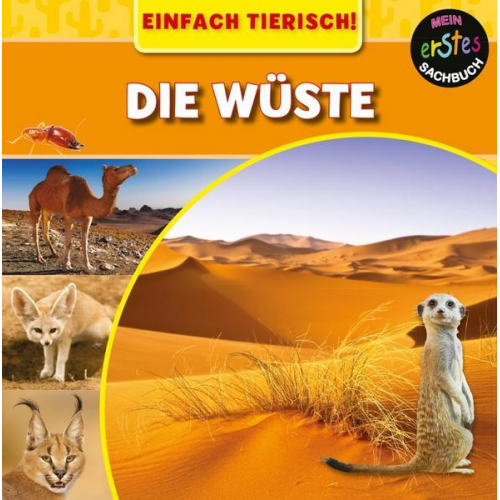 Mary-Jane Wilkins - Die Wüste
