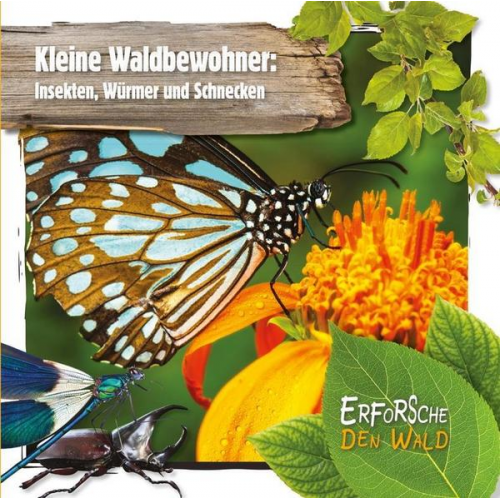 Robin Twiddy - Kleine Waldbewohner: Insekten, Würmer und Schnecken