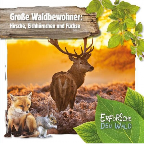 Robin Twiddy - Große Waldbewohner: Hirsche, Eichhörnchen und Füchse