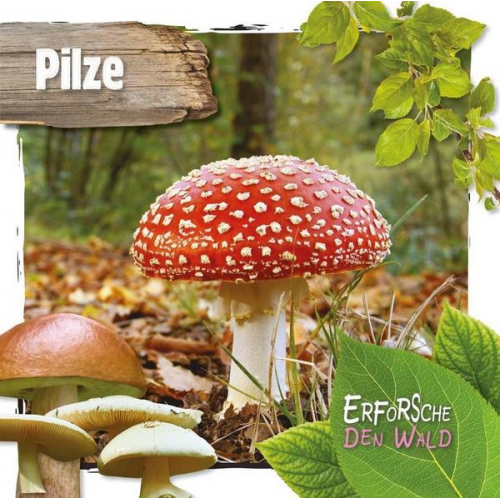 Robin Twiddy - Pilze