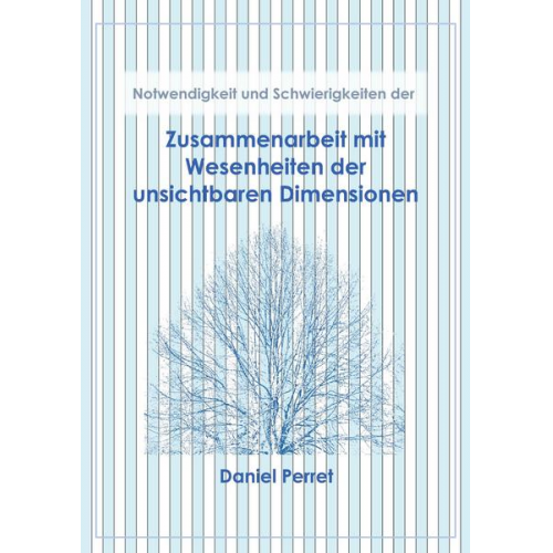 Daniel Perret - Zusammenarbeit mit Wesenheiten der unsichtbaren Dimensionen