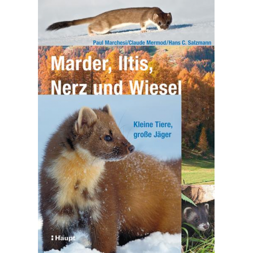 Paul Marchesi & Claude Mermod & Hans C. Salzmann - Marder, Iltis, Nerz und Wiesel