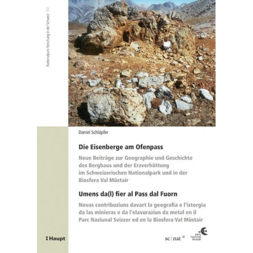 Daniel Schläpfer - Die Eisenberge am Ofenpass - Homens da(l) fier al Pass dal Fuorn