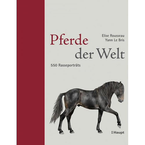 Elise Rousseau - Pferde der Welt