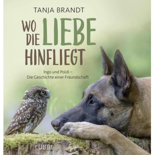 Tanja Brandt - Wo die Liebe hinfliegt