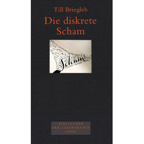 Till Briegleb - Die diskrete Scham