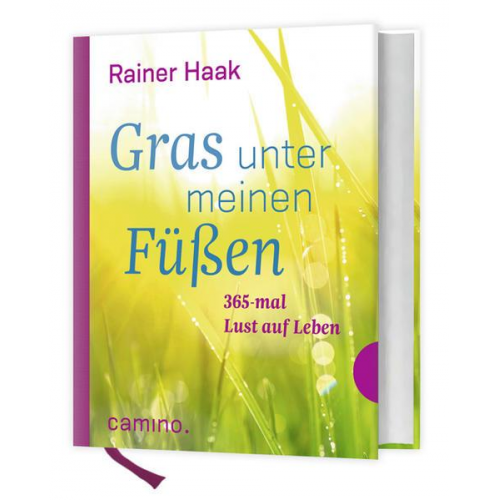 Rainer Haak - Gras unter meinen Füßen