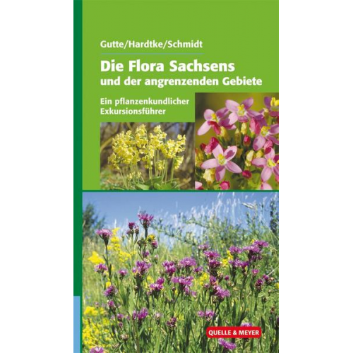 Die Flora Sachsens und angrenzender Gebiete