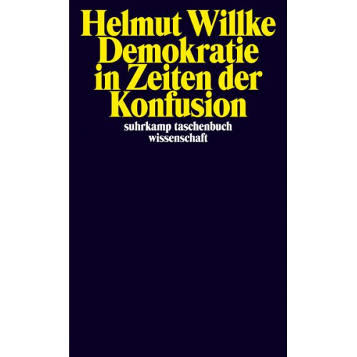 Helmut Willke - Demokratie in Zeiten der Konfusion