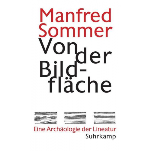 Manfred Sommer - Von der Bildfläche