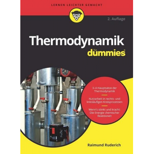 Raimund Ruderich - Thermodynamik für Dummies