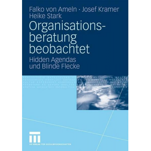 Falko Ameln & Josef Kramer & Heike Stark - Organisationsberatung beobachtet