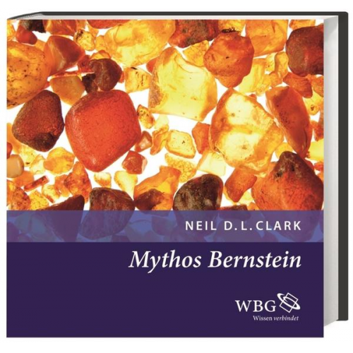 Neil Clark - Mythos Bernstein