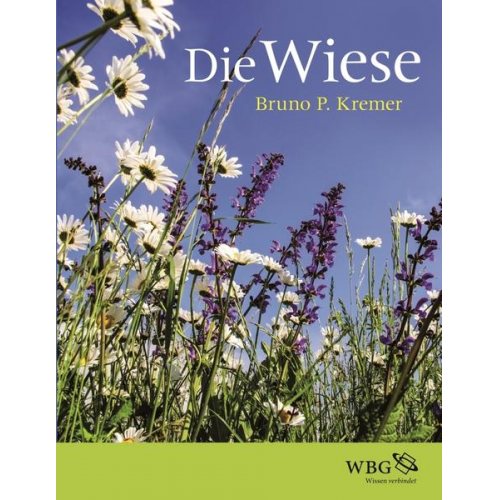 Bruno P. Kremer - Die Wiese