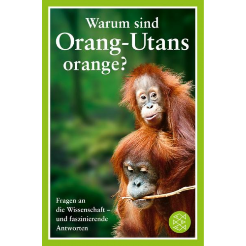 Warum sind Orang-Utans orange?