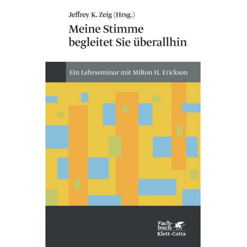 Meine Stimme begleitet Sie überall hin (Konzepte der Humanwissenschaften)