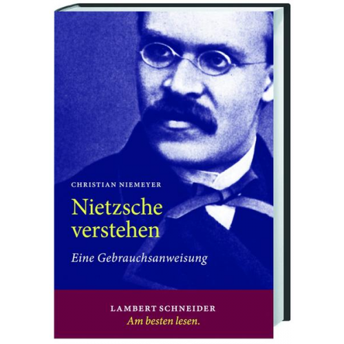 Christian Niemeyer - Nietzsche verstehen