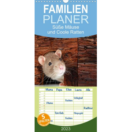 Klaus Eppele - Familienplaner Süße Mäuse und Coole Ratten (Wandkalender 2023 , 21 cm x 45 cm, hoch)